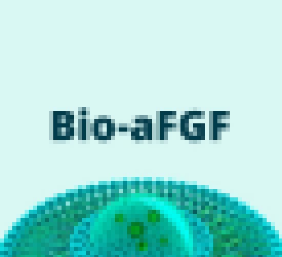 Fator de Crescimento Bio-aFGF
