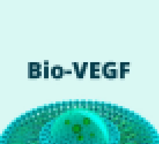 Fator de Crescimento Bio-VEGF