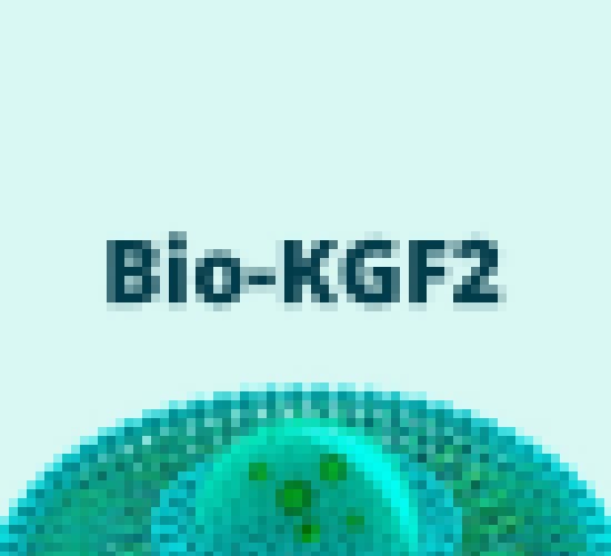 Fator de Crescimento Bio-KGF2
