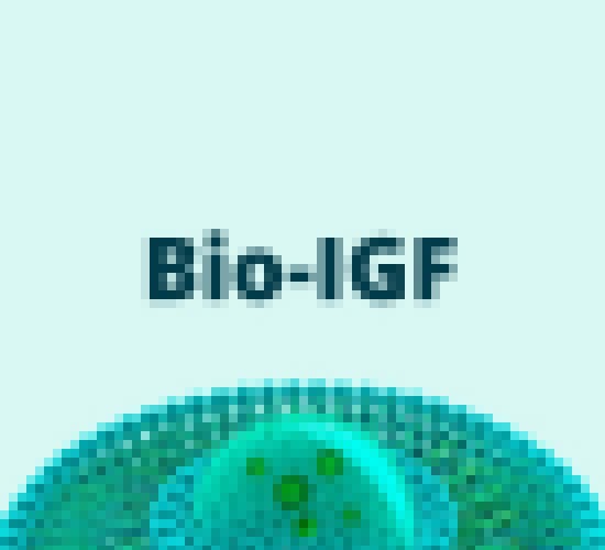 Fator de Crescimento Bio-IGF